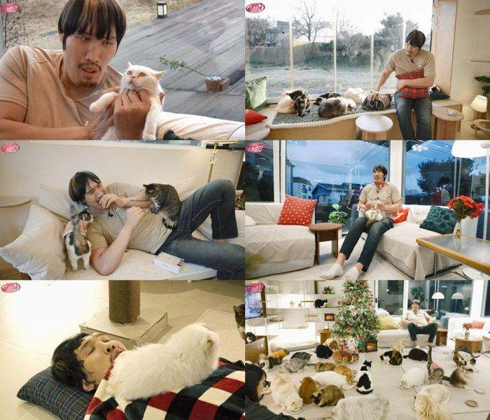 ‘키링남’ 최홍만, 고양이 카페 방문