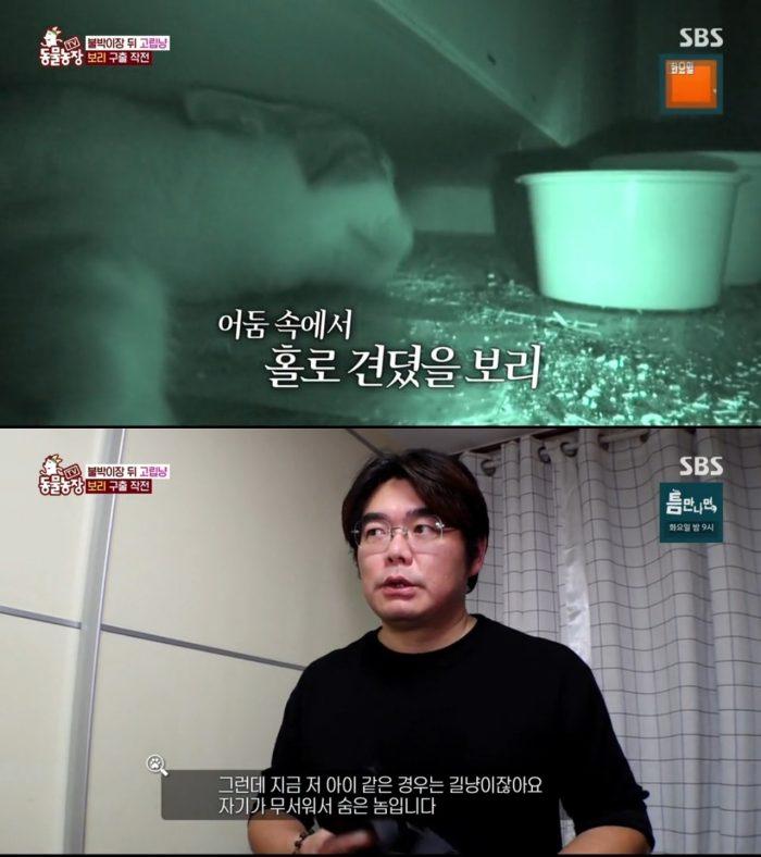 TV 동물농장 1252회 실종된 고양이들을 찾아내는 고양이 탐정의 놀라운 추리력은 과연 어디까지일까?