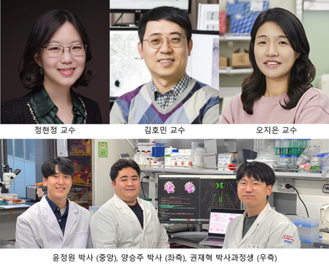 카이스트 생명과학과 김호민 교수, 정현정 교수, 의과학대학원 오지은 교수 공동 연구팀, 비강(콧속) 투여형 항바이러스 플랫폼 개발
