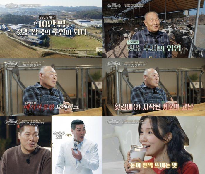 서장훈의 이웃집 백만장자 15회 연매출 100억… 이수호 대표의 ‘범산목장’ 성공 비결은?