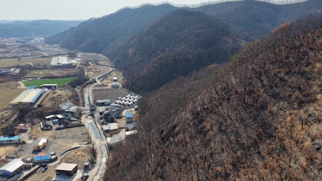 다큐멘터리 3일 719회 영남 산불, 그 후 1년 – 의성군 단촌면 72시간