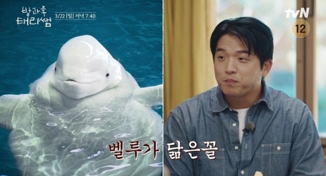 방과후 태리쌤 5회 셰프 안성재, 초등학교 특별 급식 대작전