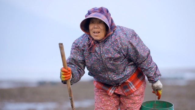 다큐온 357회 석화밭 꼬부랑 사모곡
