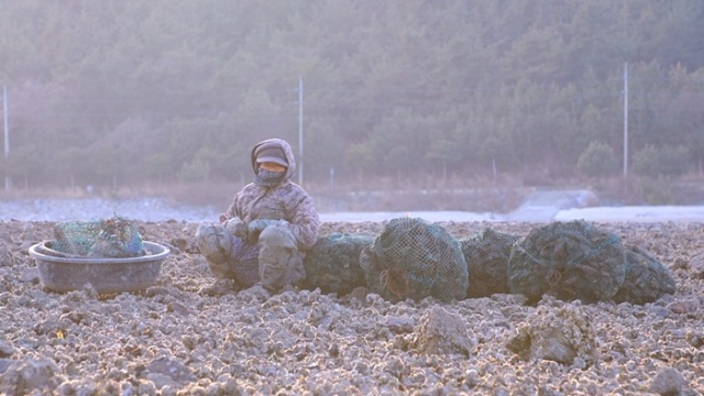 다큐온 357회 석화밭 꼬부랑 사모곡