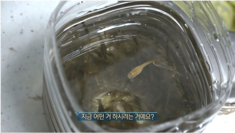 하천에서 만난 그녀, 누구와 이야기하고 있는 걸까?